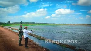 20250925-SAWAH-TERENDAM-BANJIR-Sejumlah-sawah-milik-2.jpg