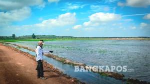20250925-SAWAH-TERENDAM-BANJIR-Sejumlah-sawah-milik-petani.jpg