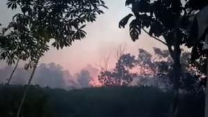 20250927-KEBAKARAN-LAHAN.jpg