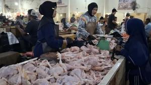20251013-AYAM-POTONG.jpg