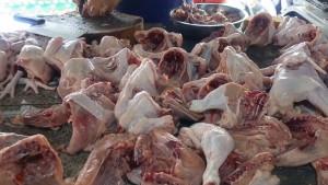 bangka/20251015-Daging-ayam-ras.jpg