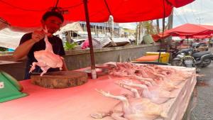 20251020-PEDAGANG-AYAM-RAS-Iwan-pedagang-ayam-ras-di-Pasar-Induk-Pembangunan.jpg