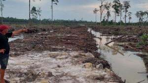 Pembukaan-lahan-di-Desa-Pergam.jpg