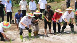 Wakil-Bupati-Belitung-menanam-padi-ne.jpg