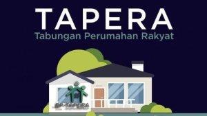cara-cek-status-tapera.jpg