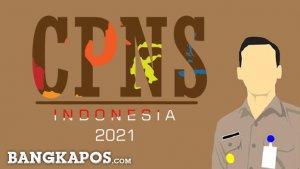 ilustrasi-cpns-2021-1.jpg