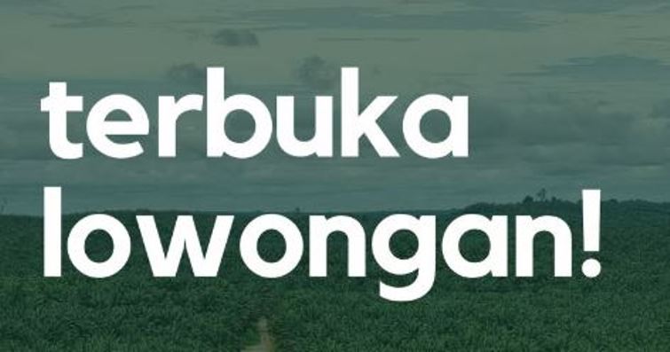 BPS Buka Rekrutmen Mitra Sensus Ekonomi 2026: Lulusan SMA Bisa Daftar, Cek Syarat dan Jadwalnya