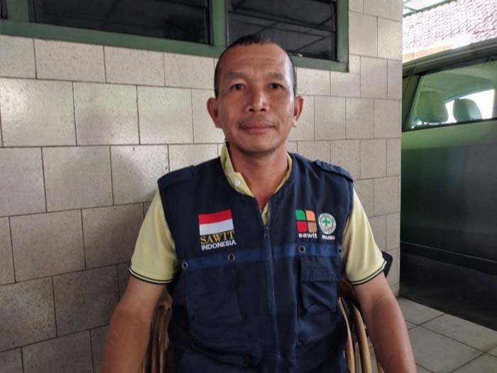 Harga TBS Kelapa Sawit Anjlok, Dampak Rencana Pemerintah Hentikan Ekspor CPO