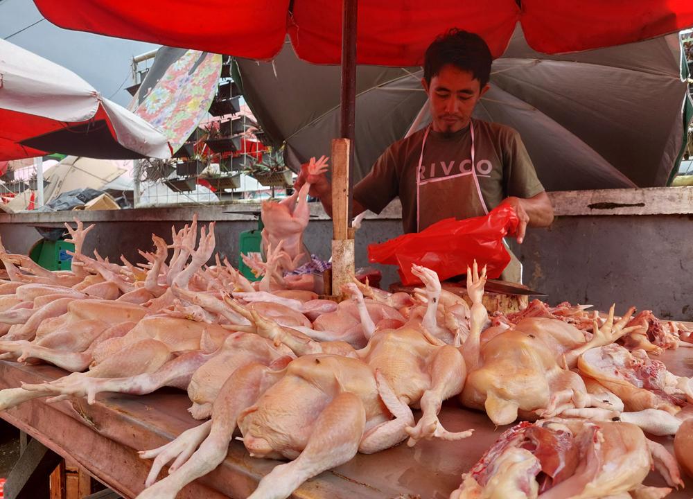 20221004-Pedagang-Ayam-di-Pasar-Induk-Pembangunan-Kota-Pangkalpinang.jpg