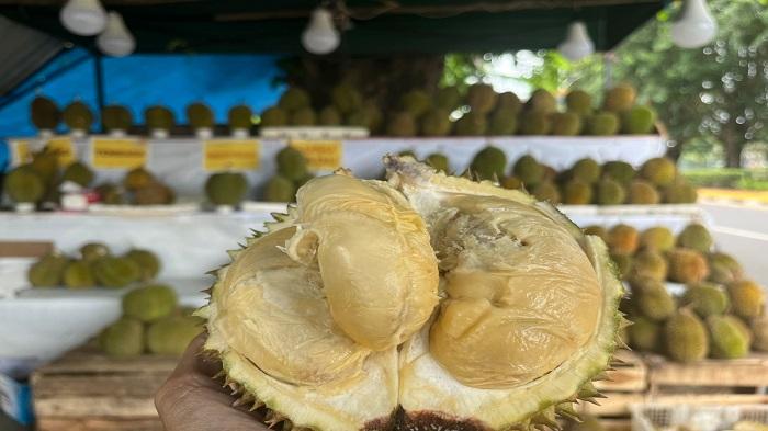 Uang Berputar di Desa, BPS Sebut Musim Durian Gerakkan Ekonomi Rakyat