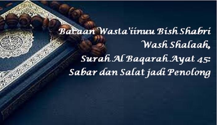 Tailandda tranniylarning porno videolari