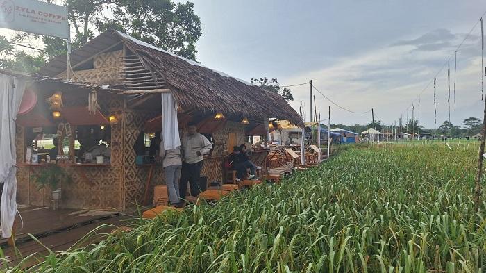 20260115-Suasana-sore-di-Wisata-Sawah-Pelawan-Namang-Bangka-Tengah.jpg