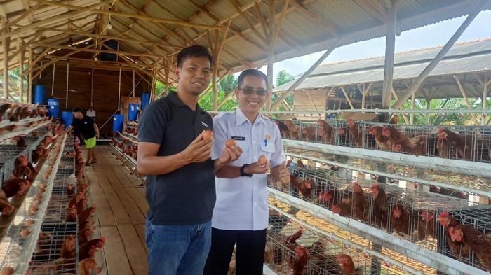 20260121-HASIL-PETERNAKAN-AYAM-Penjabat-Kades-Bangka-Kota-Suhar-SP-menunjukkan-hasil-telur.jpg