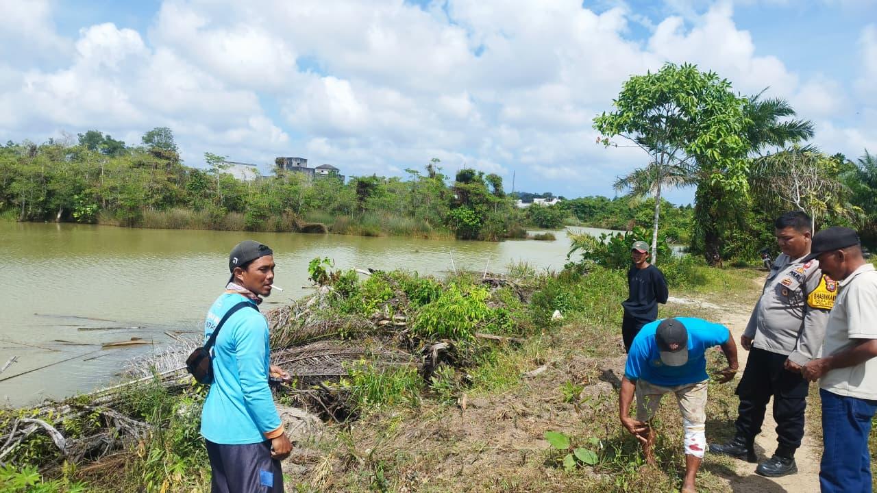 Buaya di Bangka Belitung Mengganas Terkam Manusia Gegara Habitatnya Dirusak