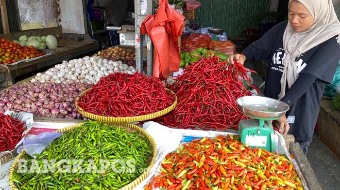 Tribun