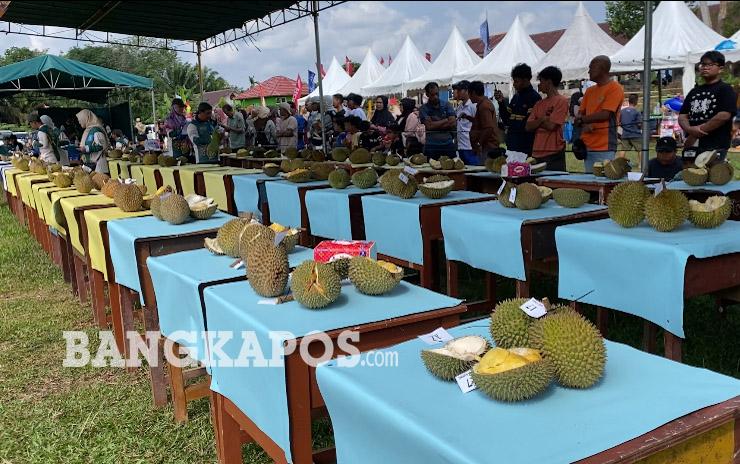Kontes Durian Tingkat Provinsi Babel 2026 Diikuti oleh 52 Peserta, Total Hadiah Puluhan Juta Rupiah - Bangkapos.com
