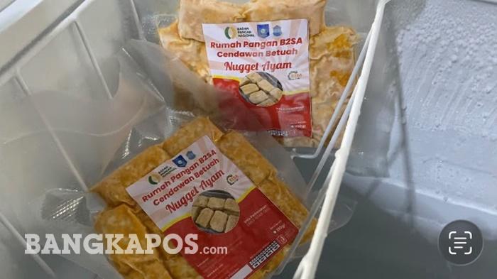 Tanpa Bahan Pabrikan, Nugget Ayam Produksi Rumah Pangan B2SA Pertama di Pangkalpinang Laris Manis - Bangkapos.com