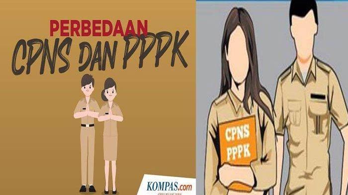 Daftar-Formasi-CPNS-dan-PPPK-2024-untuk-Freshgraduate-SMA-Hingga-Sarjana-Buruan-Merapat.jpg