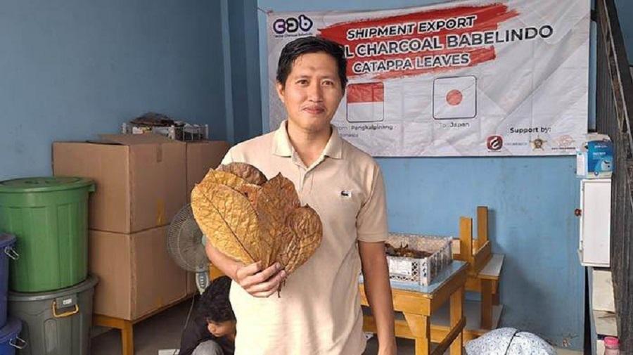 Berbekal Internet, Daun Kering Ketapang Inovasi Lukman Taklukkan Pasar Dunia