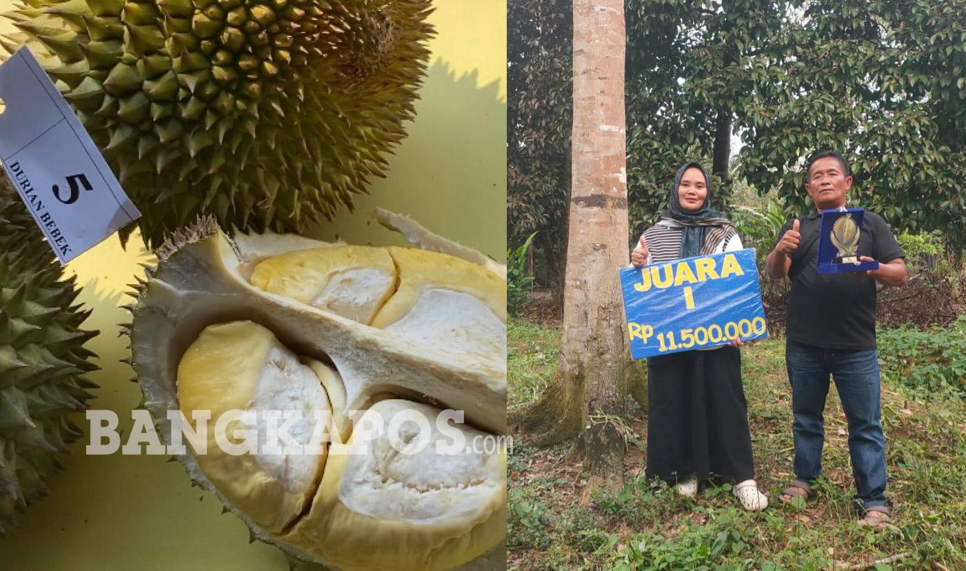 Kisah Yusrizal, Asal Usul Durian Bebek hingga Bisa Memenangkan Kontes Durian di Bangka Belitung - Bangkapos.com