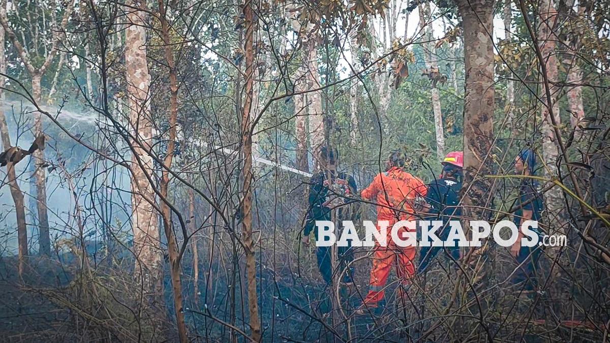 Belasan Hektare Lahan di Bangka Selatan Terbakar, Damkar Imbau Warga Tak Buka Lahan dengan Membakar - Bangkapos.com