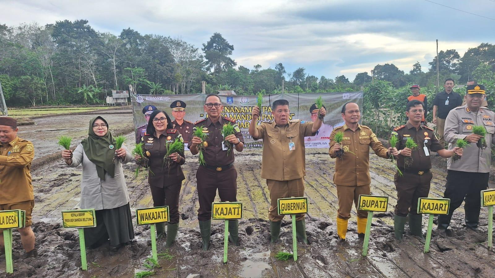 Menanam-padi-di-sawah-namang.jpg