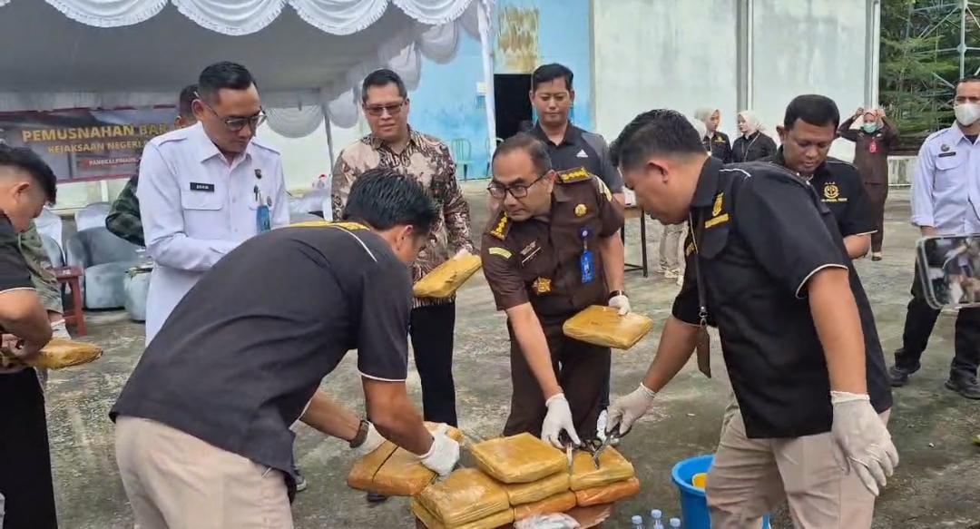 Kejari Pangkalpinang Musnahkan Barang Bukti Ganja Seberat 14 Kilogram