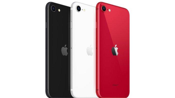 Daftar Harga HP iPhone Juli 2020, APPLE iPhone XS Max, iPhone 11 Hingga iPhone 11 Pro