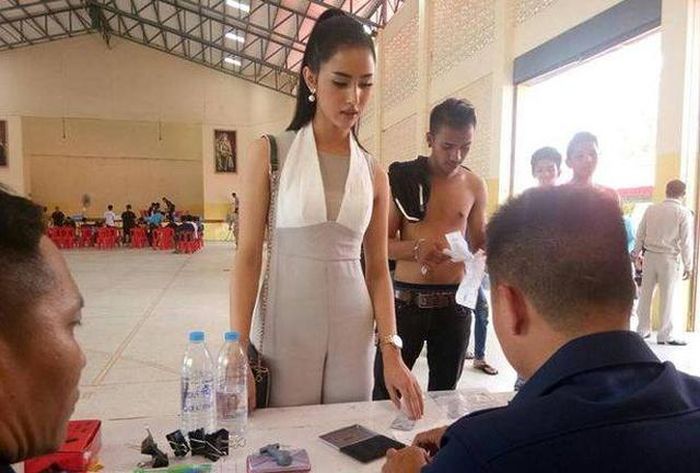 Soqolli mushuk video onlayn