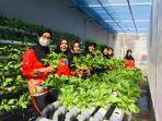 Bekal Setelah Bebas, Warga Binaan Lapas Perempuan Pangkalpinang Dibekali Keterampilan Hidroponik