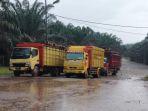20220626-truk-pengangkut-tbs-kelapa-sawit.jpg