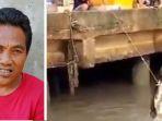 Viral Buaya Diberi Makan di Dermaga Desa Lenggang Belitung Timur, Namanya Roni dan Bukan Buaya Nakal