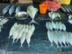 20231026-Ilustrasi-foto-ikan-yang-dijual-di-pasar.jpg