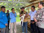 20241227_PLN-UIW-Babel-Bantu-Kambing-Perah-01.jpg<pf>20241227_PLN-UIW-Babel-Bantu-Kambing-Perah-02.jpg