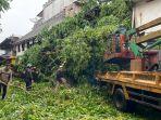 20241230-Proses-evakuasi-pohon-tumbang.jpg