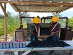 20251011-Hasil-Produksi-Biochar-dan-Asap-Cair.jpg