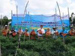 Panen-bersama-cabai-di-Kelompok-Tani-Dukong-Jaya.jpg