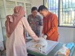 bangka/Sterilisasi-Kucing-di-Bangka-Tengah-2025.jpg