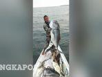 helmi-juniarto-dan-ikan-hasil-tangkapannya-di-laut-beltim.jpg