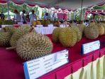 kontes-duren3.jpg