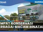 pps-alobi-babel-tempat-konservasi-berbagai-macam-binatang-yang-berada-di-kampung-reklamasi.jpg