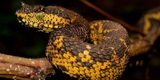 Yuqori sifatli transseksual porno tomosha qiling