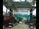 SMANSA2.jpg