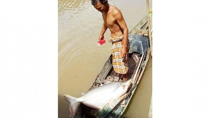 Sumber Air Baku PDAM Tanahbumbu, Pencemaran Sungai Satui Kian Parah, 30 Ribu Jiwa Terancam