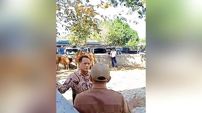Respons Usulan Peningkatan Sarpras Pasar Hewan, Wakil Rakyat Tala Langsung Turun ke Lokasi