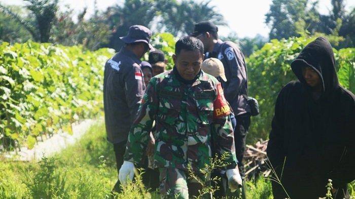 Pakai Teknik Pengasapan, Petani Desa Gumbil Telaga Langsat Kabupaten HSS Dibantu Basmi Hama Tikus