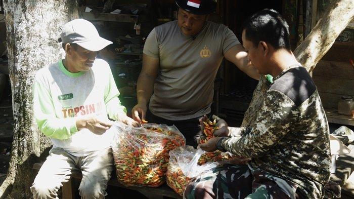 Warga di Desa Gumbil Telaga Langsat Hulu Sungai Selatan Semangat Panen Cabai