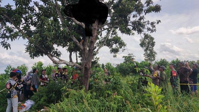 Peristiwa Pertama, Warga Kaget Ada Lelaki Bergelantungan di Pohon Alpukat di Desa Danda Jaya Batola
