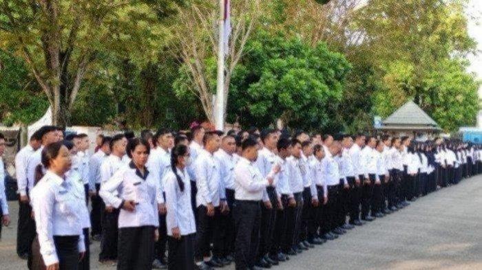 Pendaftar Tenaga Teknis Terbanyak di HST, Begini Rinciannya