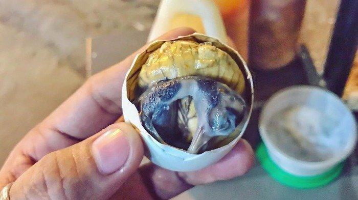 Makan Balut Halal atau Haram? Ulama: Tergolong Bangkai karena Tak Disembelih